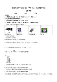 北京师范大学附属中学2023-2024学年高二上学期期末考试化学试卷(无答案)