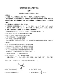 广东省深圳市宝安区2023-2024学年高三上学期期末联考化学试卷