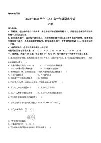 河南省濮阳市2023-2024学年高一上学期期末考试化学试题(无答案)