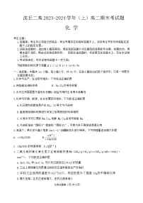河南省周口市沈丘县几校2023-2024学年高二上学期2月期末化学试题