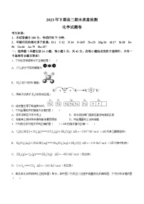 湖南省邵阳市新邵县2023-2024学年高二上学期期末考试化学试题