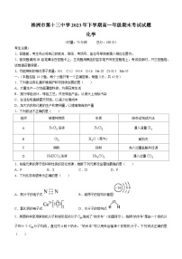 湖南省株洲市第十三中学2023-2024学年高一上学期期末考试化学试题(无答案)