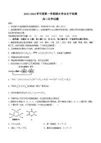 山东省青岛市黄岛区2023-2024学年高三上学期期末考试化学试题(无答案)