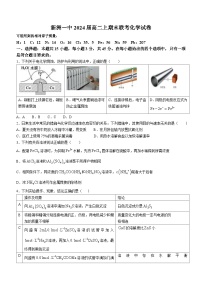 湖北省武汉市新洲区第一中学2024届高二上学期期末联考化学试题