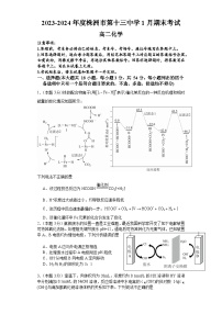 湖南省株洲市第十三中学2023-2024学年高二上学期1月期末考试化学试题+