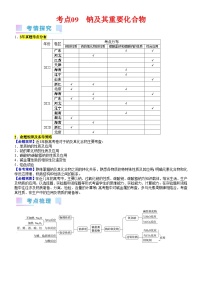 考点09 钠及其重要化合物（核心考点精讲精练）-备战高考化学一轮复习（新高考专用）