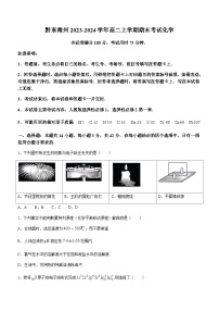 贵州省黔东南州2023-2024学年高二上学期期末考试化学试题（含答案）