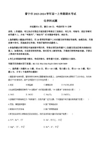 广东省揭阳市普宁市2023-2024学年高一上学期期末考试化学试题（含答案）