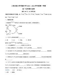 上海交通大学附属中学2023-2024学年高一上学期期末化学试卷