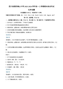 四川省绵阳南山中学2023-2024学年高一上学期期末热身考试+化学试题