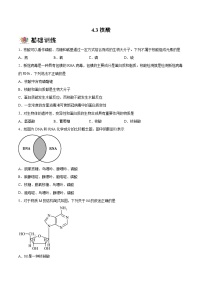 高中化学人教版 (2019)选择性必修3第三节 核酸达标测试