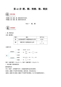 第42讲 醛、酮、羧酸、酯、酰胺-【高效备考】2024年高考化学一轮复习讲义+分层练习