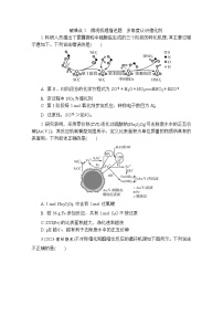 破难点2　微观机理描述题 多角度认识催化剂  热练（含解析）—2024年高考化学二轮复习