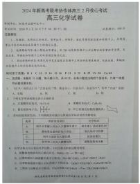 湖北新高考协作体2024届高三下学期2月收心考试化学试题+答案