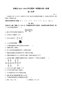 2024北京东城区高三上学期期末考试化学含答案