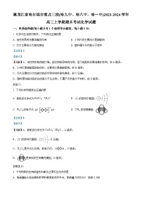 10，黑龙江省哈尔滨市重点三校（哈九中、哈六中、哈一中）2023-2024学年高三上学期 期末化学试卷