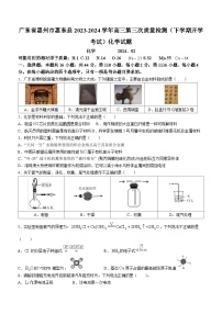 广东省惠州市惠东县2023-2024学年高三第三次质量检测（下学期开学考试）化学试题