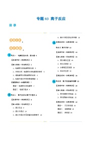 专题03 离子反应(讲义)-2024年高考化学二轮复习讲与练（新教材新高考）