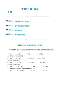 专题03 离子反应(练习)-2024年高考化学二轮复习讲与练（新教材新高考）