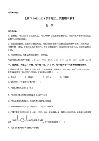 河北省沧州市2023-2024学年高三上学期期末联考化学试题（含答案）