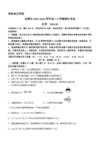 内蒙古自治区赤峰市2023-2024学年高三上学期期末考试（模拟考试）化学试题（含答案）