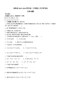 湖北省咸宁市崇阳县2023-2024学年高一下学期2月开学考试化学试题（含答案）