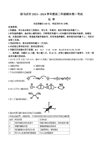 河南省驻马店市2023-2024学年高三上学期期末考试化学试卷（Word版附解析）