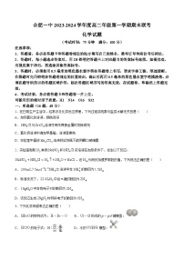 2024合肥一中高二上学期期末考试化学含答案