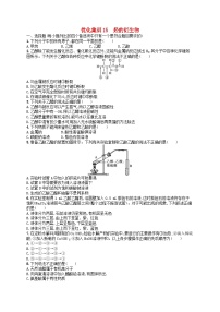 2024高考化学基础知识综合复习优化集训试题15烃的衍生物