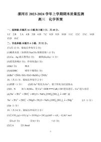 54，河南省漯河市2023-2024学年高三上学期期末质量监测化学试题