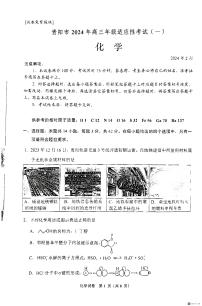 2024贵阳高三适应性一化学试卷及参考答案