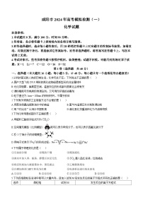 陕西省咸阳市2024届高三一模考试化学试题