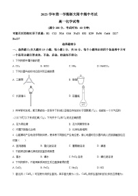 浙江省杭州市浙江大学附属中学2023-2024学年高一上学期期中化学试题（Word版附解析）