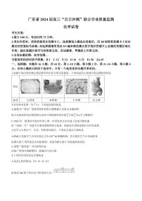 2024届广东部分学校高三百日冲刺联合学业质量监测（一模）化学试题