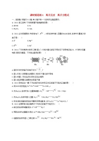 适用于新高考新教材广西专版2024届高考化学一轮总复习第二章物质及其变化课时规范练4离子反应离子方程式