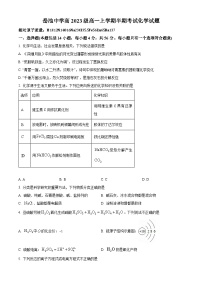 四川省广安市岳池中学2023-2024学年高一上学期期中考试化学试题（Word版附解析）