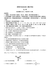 广东省深圳市宝安区2023-2024学年高三上学期期末考试 化学 Word版含解析