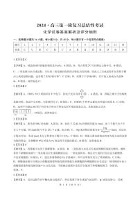 湖南省2024届高三下学期一轮复习总结性考试（月考）化学试题