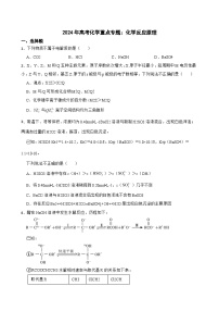 2024年高考化学重点专题：化学反应原理