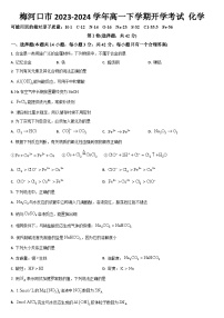 吉林省通化市梅河口市2023-2024学年高一下学期开学考试化学试题（含答案）