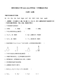 浙江省绍兴市部分中学2023-2024学年高一下学期回头考试化学试题（含答案）