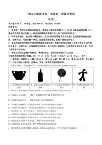 2024届广东深圳高三下学期第一次调研考试化学试卷