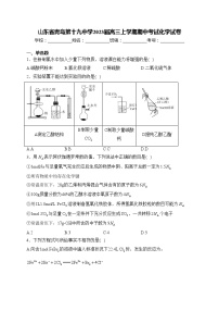 山东省青岛第十九中学2023届高三上学期期中考试化学试卷(含答案)