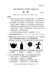 广东省深圳市2024届高三下学期第一次调研考试化学试卷（Word版附解析）