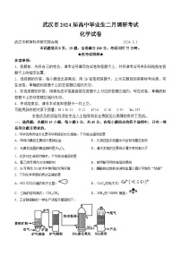 湖北省武汉市2023-2024学年高三下学期2月调研考试化学试卷（Word版附答案）