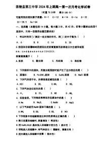 58，湖南省株洲市茶陵县第三中学2023-2024学年高一下学期开学考试化学试题