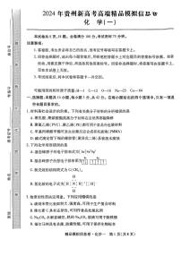 46，贵州省部分学校2024届高三下学期高考模拟联考卷化学(一)