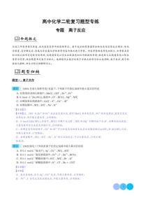 离子反应--2024年高考化学二轮复习题型专练