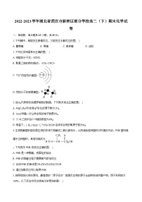 2022-2023学年湖北省武汉市新洲区部分学校高二（下）期末化学试卷（含详细答案解析）