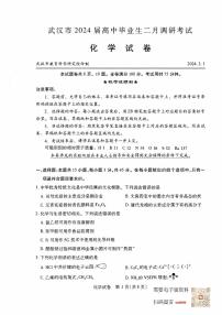 湖北省武汉市2024届高三二调化学试卷